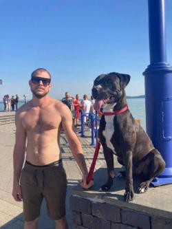 Dominik, 31 �ves szexpartner f�rfi, Csorna